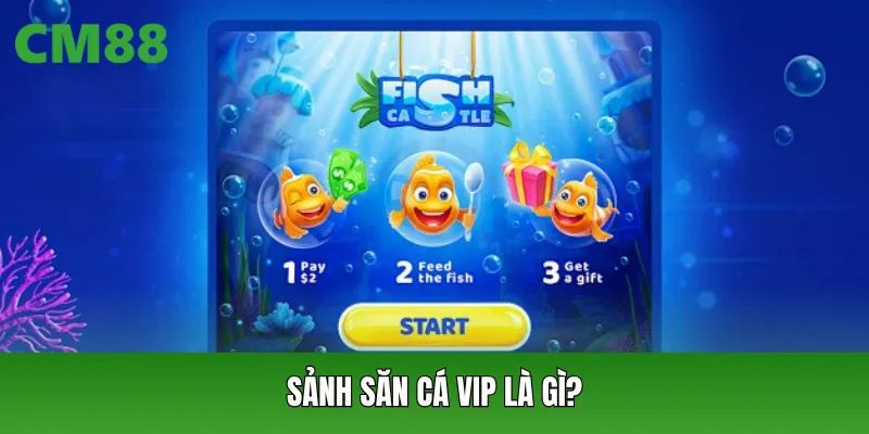 Sảnh săn cá vip là gì?
