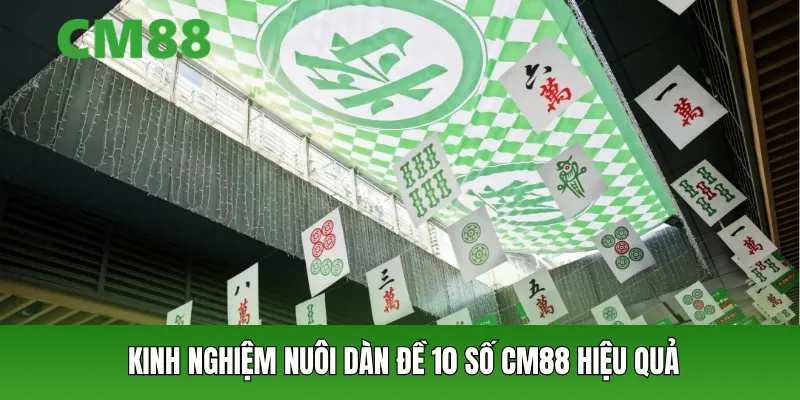 Kinh nghiệm nuôi dàn đề 10 số CM88 hiệu quả